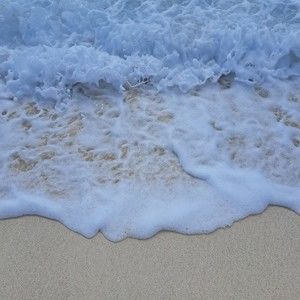 Meet your Posher, Zeynep